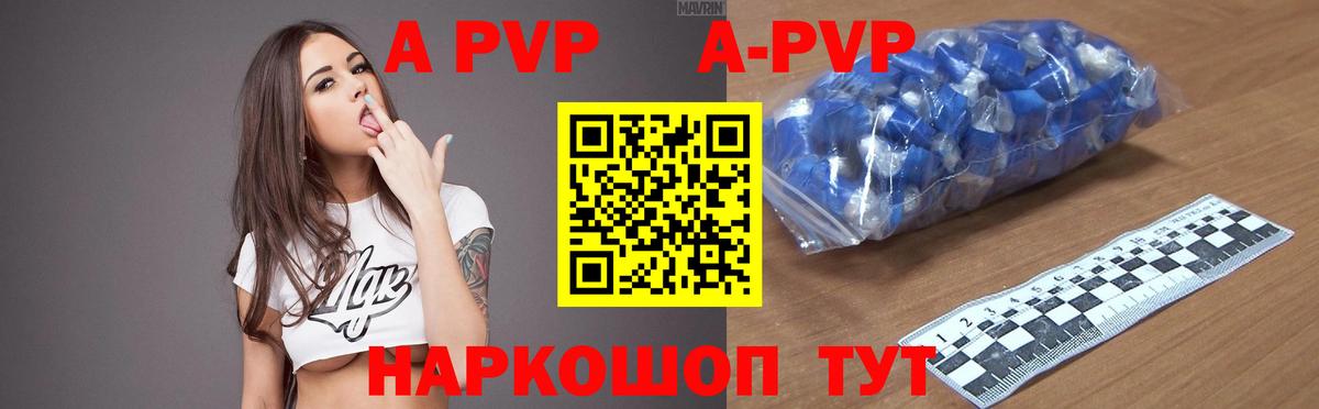 Alfa_PVP СК КРИС  Alpha PVP СК КРИС  Alfa_PVP СК  Курчалой  APVP  Вход с VPN 