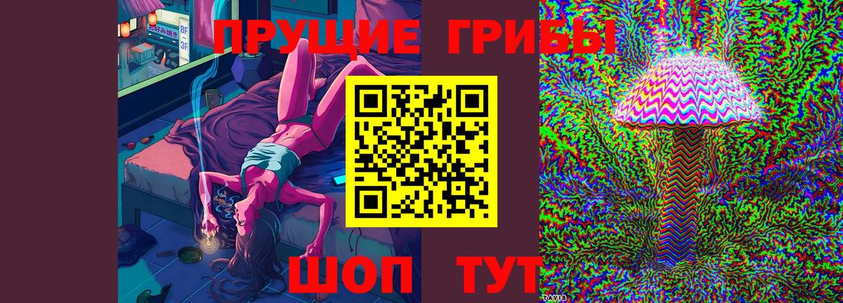 Курчалой  Галлюциногенные грибы MAGIC MUSHROOMS  Вход с VPN 