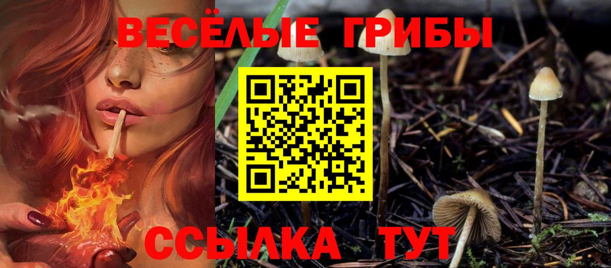 Псилоцибиновые грибы мицелий Курчалой