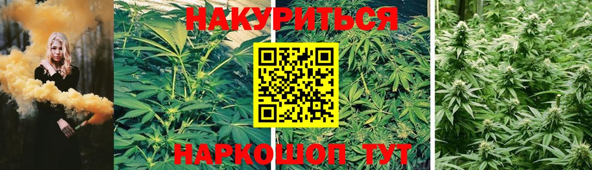 Курчалой  Конопля план  Бошки марихуана SATIVA & INDICA  МАРИХУАНА White Widow  Каннабис тримм  Вход с VPN 